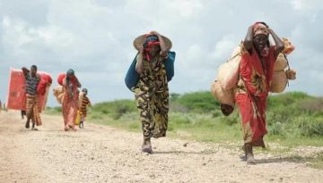 Sudan — Famine, Displacement & Siege in Darfur