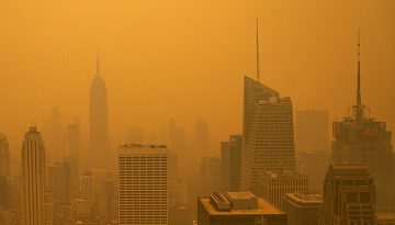 Wildfire Smoke; Pollution — Cross-Border Health Effects
