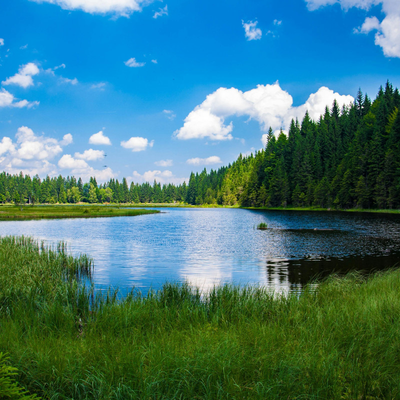 Europe — Water Pollution Standards Progress and Challenges Europe — Water Pollution Standards Progress and Challenges