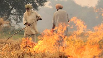 India - Crop Burning, Industrial Emissions, and Health Impacts