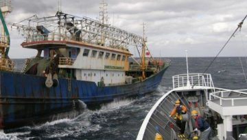 Japan — Fukushima Water Release: Anxiety, Protests & Scientific Oversight